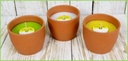 NATURAL TERRACOTTA FILLED W/ CITRONELLA RECYCLED WAX - OUTDOOR 11,5X9,8CM