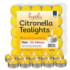 WW CITRONELLA TEA LIGHT 1X50 PACK