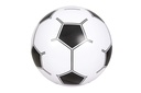 Sports Ball 40cm(16") - 66018