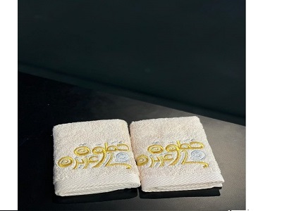 [1000244] 2- PIECE TOWEL SET 30*30CM 1
