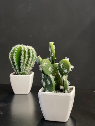 [1000345] CACTUS IN POT WHITE COLOUR, SIZE 55X55X50MM, TOTAL HEIGHT APPROXIMATELY 115MM