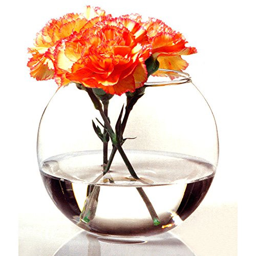 [1002664] Botanica Flower Vase